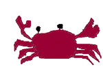 fimg_1229443774.png