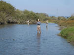 DF091108002.jpg