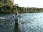 DF091108006.jpg