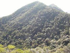 hakusan03
