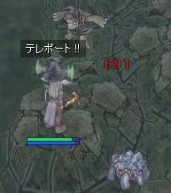 亀忍者