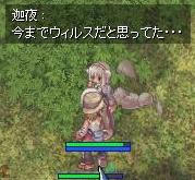 ウィルス