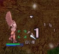 草刈り１