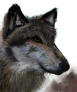 6f9e667b.JPG