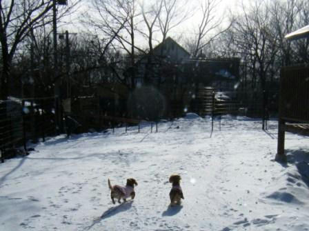 2008_02150270.JPG