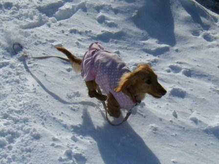 2008_02150271.JPG