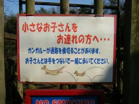 2008_02230209.JPG