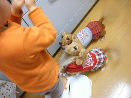 DSCF3125.JPG