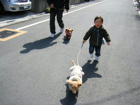 DSCF3129.JPG
