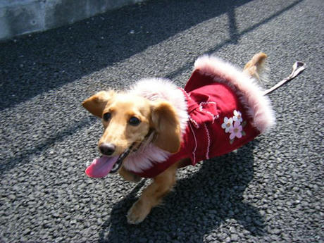 DSCF3133.JPG