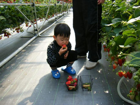 DSCF3325.JPG