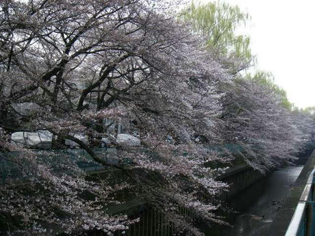 DSCF3595.JPG