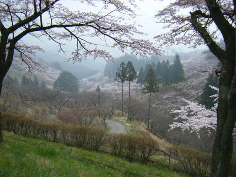 DSCF4027.JPG
