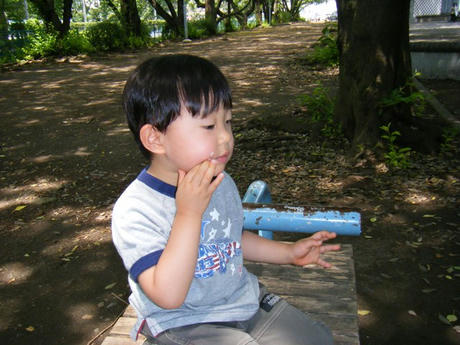 2008_05280085.JPG