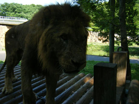 2008_05280157.JPG