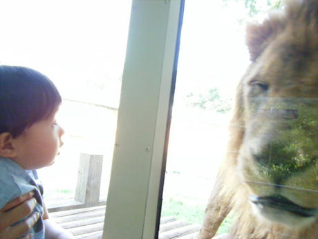 2008_05280159.JPG