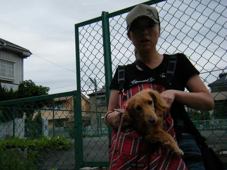 2008_05280189.JPG