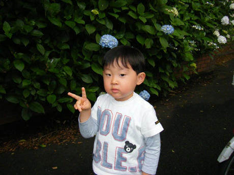 2008_06070001.JPG