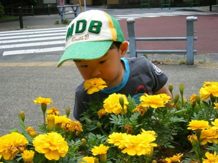 2008_06200013.JPG