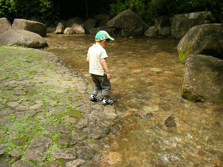 2008_07030003.JPG