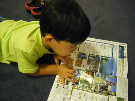 2008_07220005.JPG
