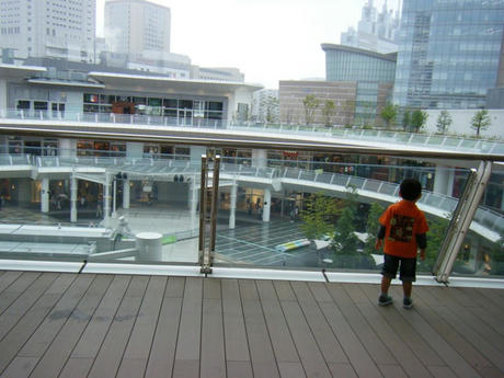 2008_08260011.JPG