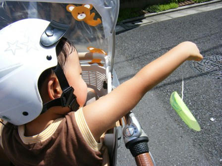 2008_09030007.JPG