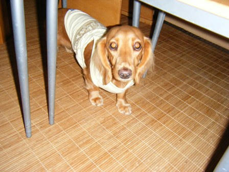 2008_09130012.JPG
