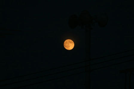 IMG_3870.JPG