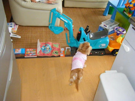 2008_09240019.JPG