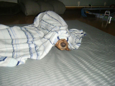 2008_09240042.JPG