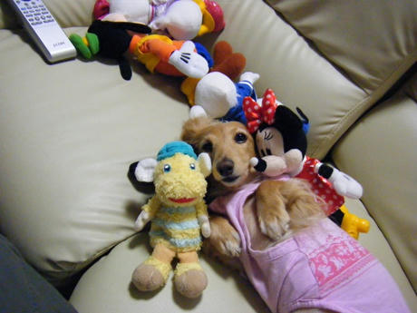 2008_10120044.JPG