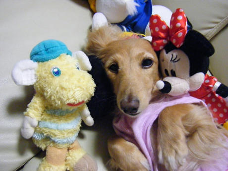 2008_10120046.JPG