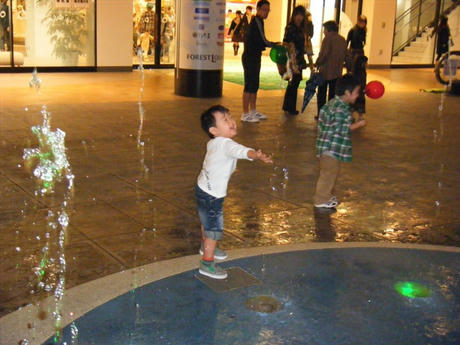 2008_10150006.JPG