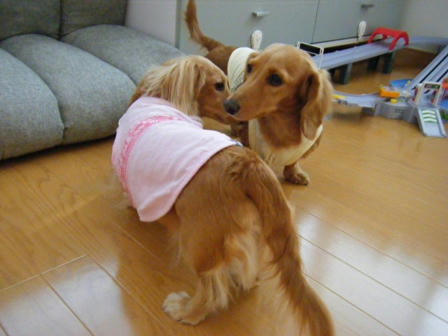 2008_10290036.JPG