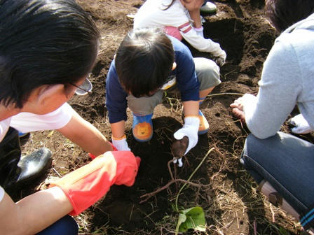 2008_11070059.JPG