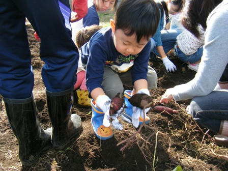 2008_11070060.JPG