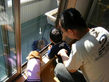 2008_11070076.JPG