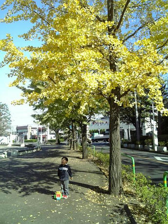 081113_115926.jpg