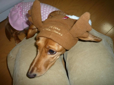2008_11120025.JPG