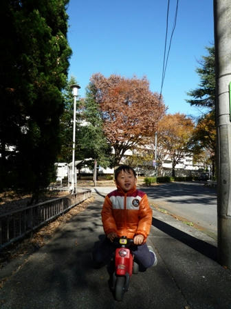 2008_11220052.JPG