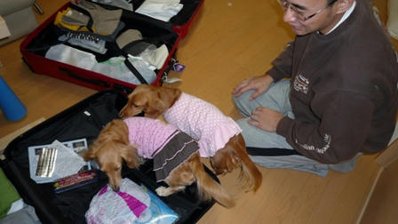 2008_11280005.JPG