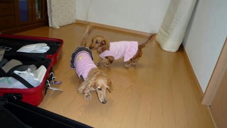 2008_11280007.JPG