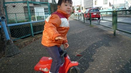 2008_12010011.JPG
