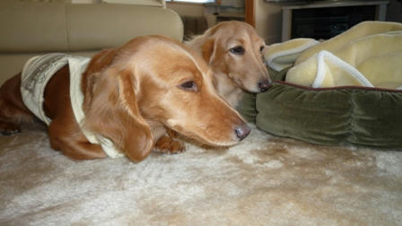 2008_12010051.JPG