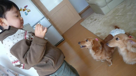 2008_12060409.JPG
