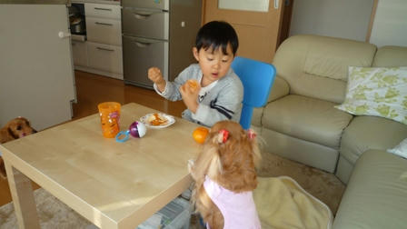 2008_12190113.JPG