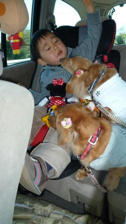 2009_01030007.JPG