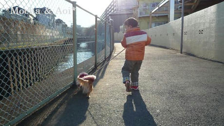 2009_01170017.JPG