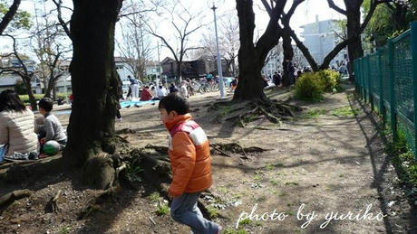 2009_03290037.JPG